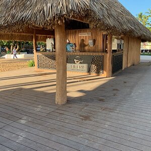 IMG_1529.jpg