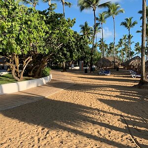 IMG_1554.jpg