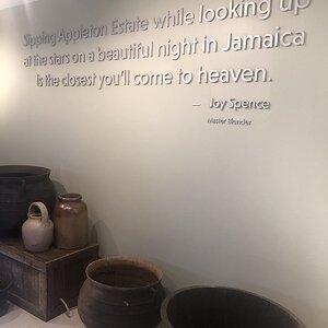 61E2A56E-AF6E-4B15-95B1-AD97A111C587.jpeg