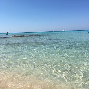 IMG_0288.JPG