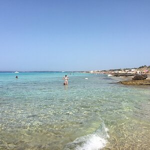 IMG_9933.JPG