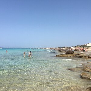 IMG_9935.JPG