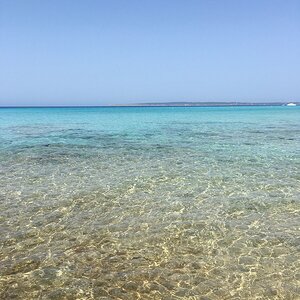 IMG_9937.JPG