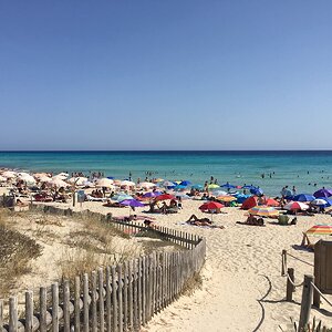IMG_9974.JPG
