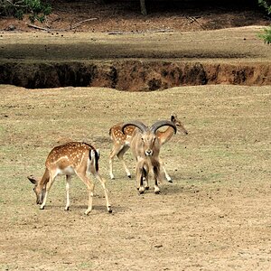IMG_2507.JPG