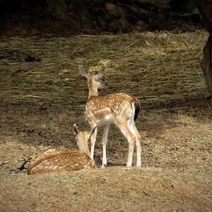 IMG_2517.JPG