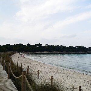IMG_20190706_084912.jpg