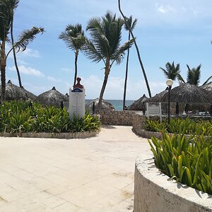 IMG_20190627_101542.jpg