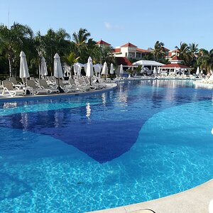 IMG_20190628_074540.jpg