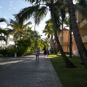 IMG_20190628_080826.jpg