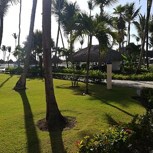 IMG_20190628_081159.jpg