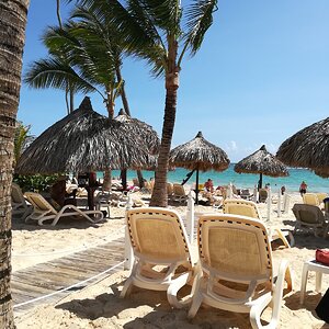 IMG_20190628_095240.jpg