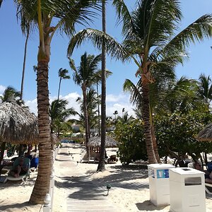 IMG_20190628_142037.jpg