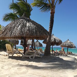 IMG_20190628_145436.jpg