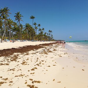 IMG_20190629_104540.jpg