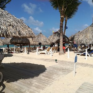IMG_20190629_154048.jpg