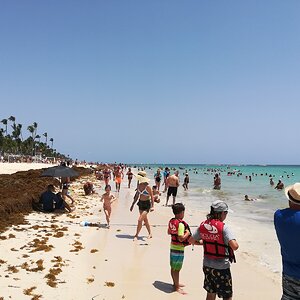 IMG_20190701_113743.jpg
