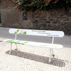 DSCF4995.JPG