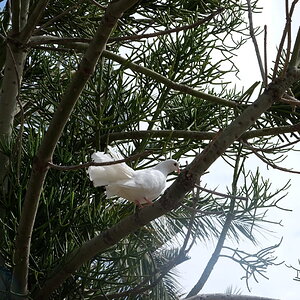 DSCF5074.JPG
