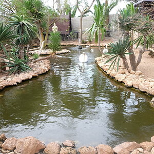 DSCF5086.JPG