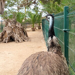 DSCF5098.JPG