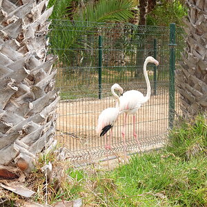 DSCF5103.JPG