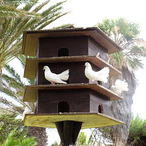 DSCF5112.JPG