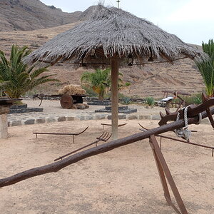 DSCF5139.JPG
