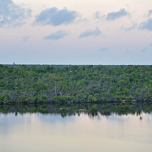 DSC_1172.jpg