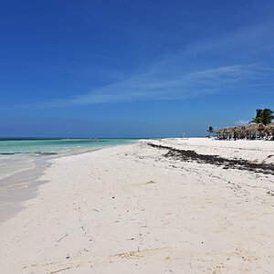 DSC_1236.jpg