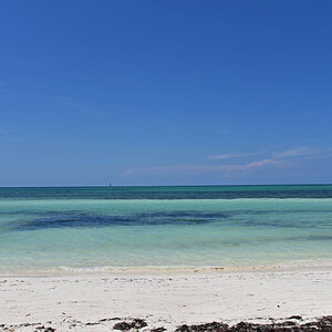 DSC_1240.jpg