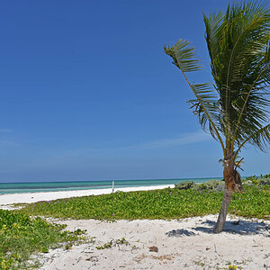 DSC_1245.jpg
