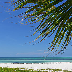 DSC_1246.jpg