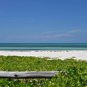 DSC_1247.jpg