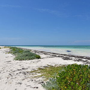DSC_1296.jpg