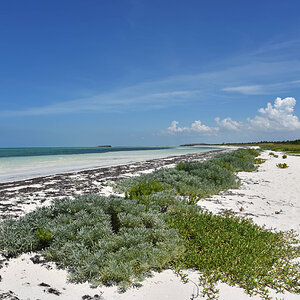 DSC_1299.jpg