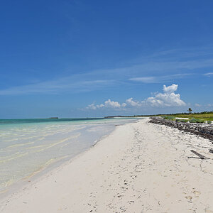 DSC_1305.jpg