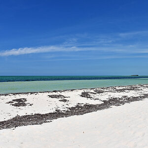 DSC_1635.jpg