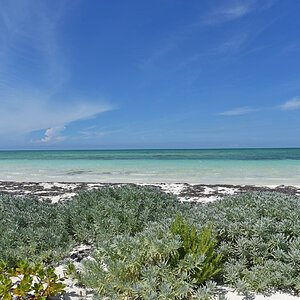 DSC_1644.jpg
