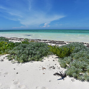 DSC_1646.jpg