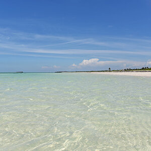 DSC_1665.jpg