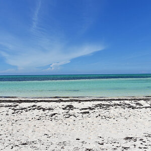 DSC_1678.jpg