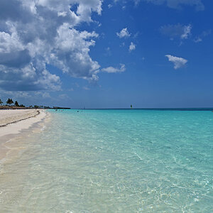 DSC_2146.jpg