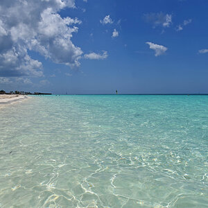 DSC_2149.jpg