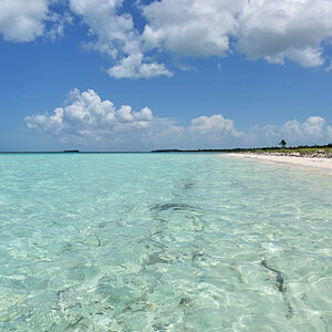 DSC_2178.jpg