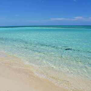 DSC_2182.jpg