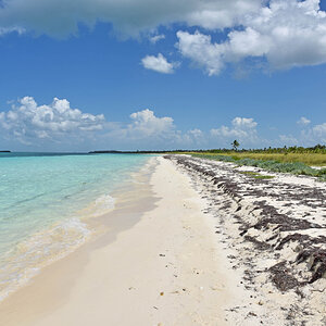 DSC_2216.jpg