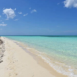 DSC_2217.jpg