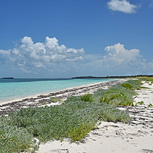 DSC_2218.jpg