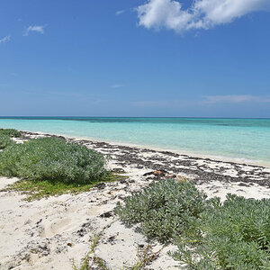 DSC_2219.jpg